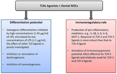 Toll-Like Receptors and Dental Mesenchymal Stromal Cells